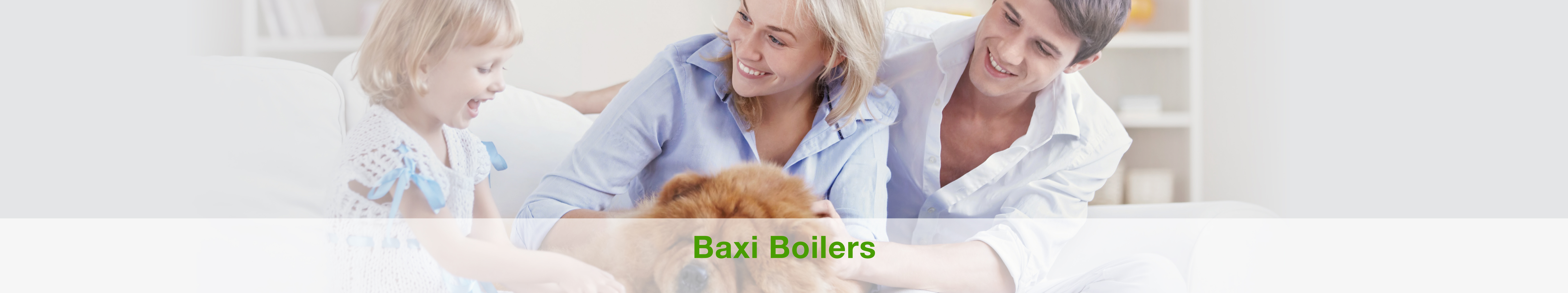 Baxi Boiler Weybridge