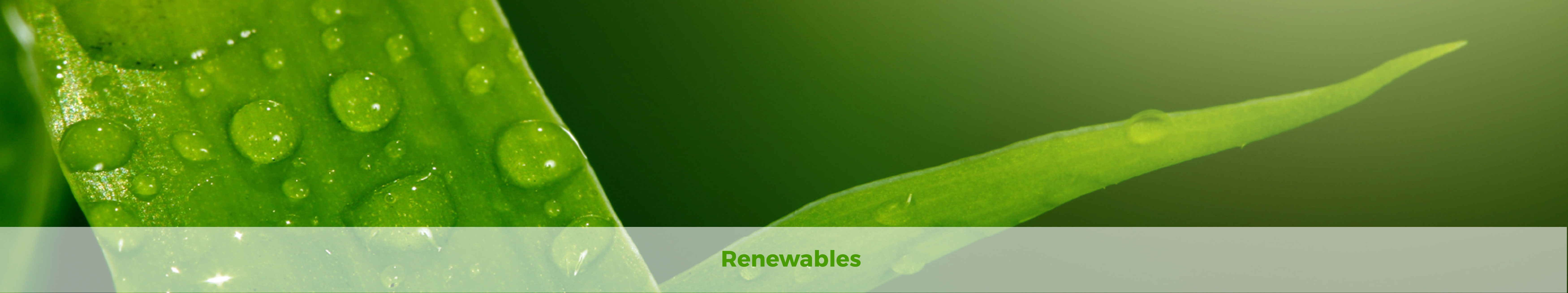 Renewables